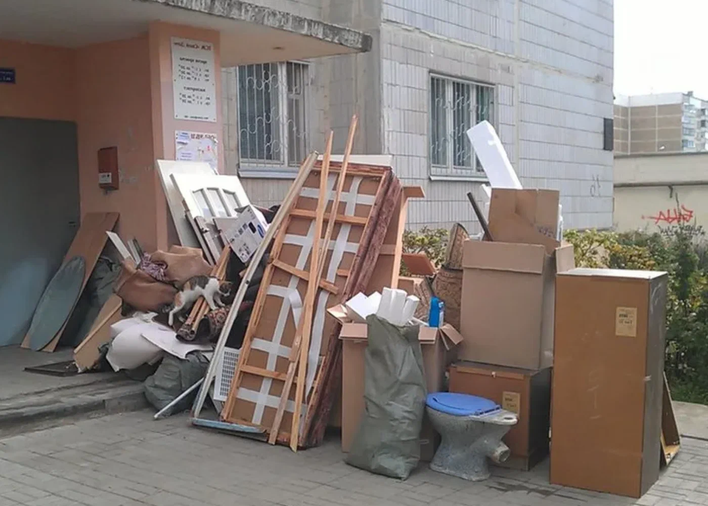 Профессиональный вывоз мусора из квартиры в Новосибирске в октябре
