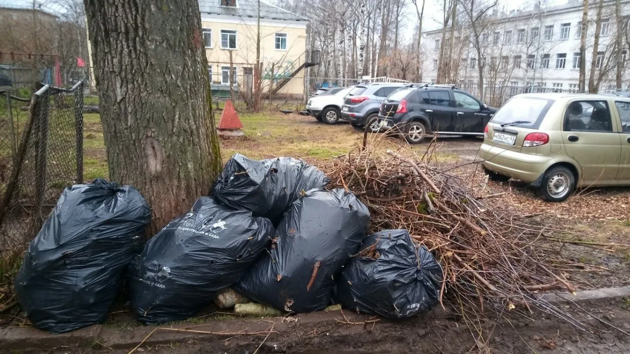 Вывоз мусора после субботника в Новосибирске от ПроМусор – уборка и утилизация отходов от 2389 руб