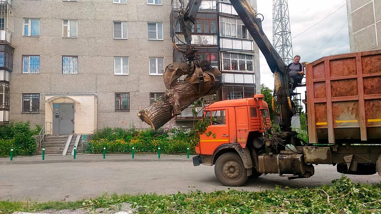 Вывоз спиленных веток и деревьев в Новосибирске от ПроМусор: порубочные остатки, утилизация, цена от 2948 руб