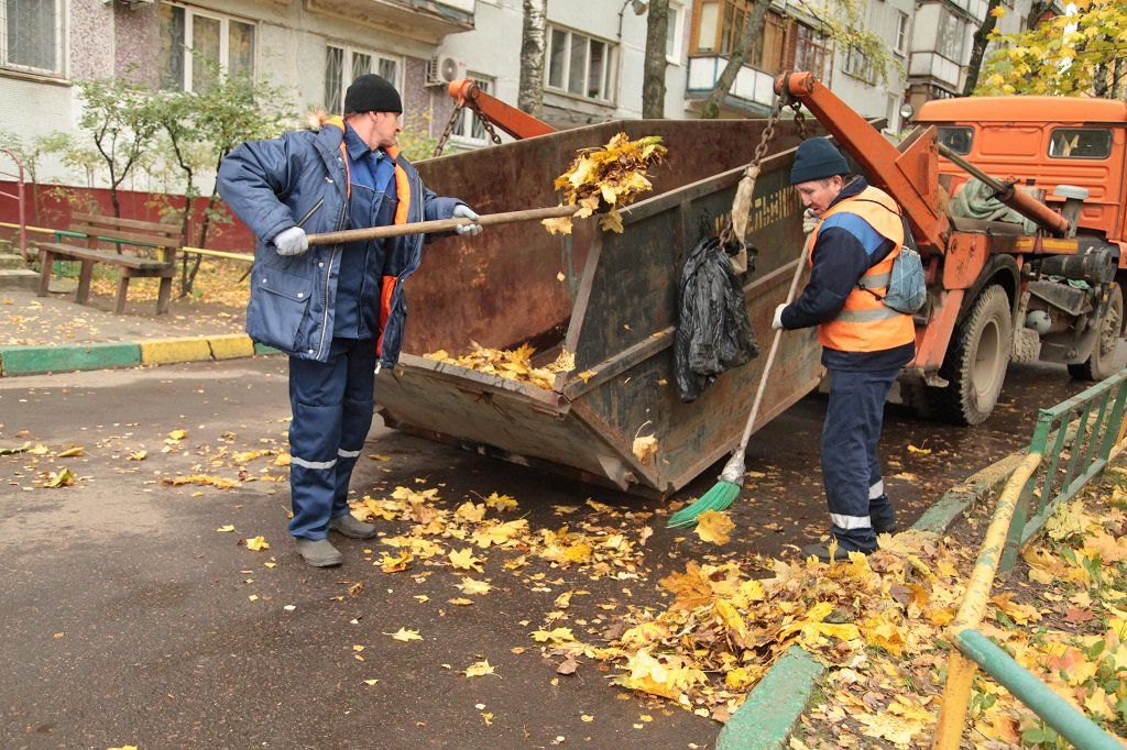 Вывоз опавшей листвы и растительного мусора в Новосибирске от ПроМусор – цена от 4575 руб., быстрая уборка и утилизация